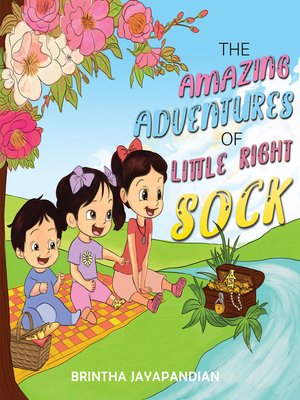 cover image of The Amazing Adventures of Little Right Sock